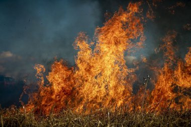 Najczęstsze błędy w ochronie przeciwpożarowej i jak ich unikać